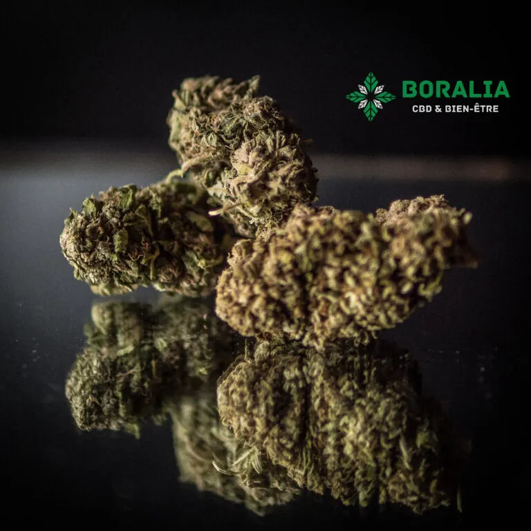 Sélection de produits Boralia au CBD