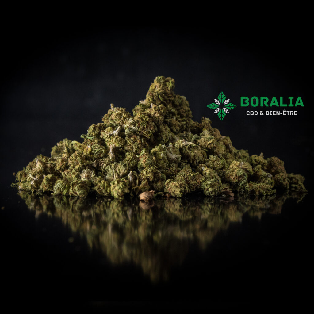 MIX SMALL BUDS CBD BORALIA