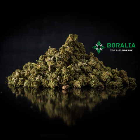 MIX SMALL BUDS CBD BORALIA