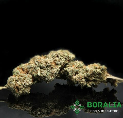super lemon haze CBD