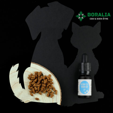 HUILE CBD ANIMAUX 1% HEMPET