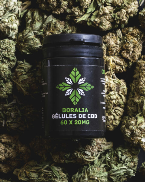 Gélules CBD