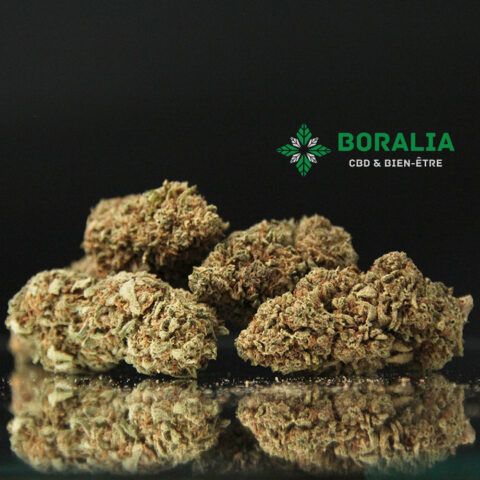 Sapphir Kush