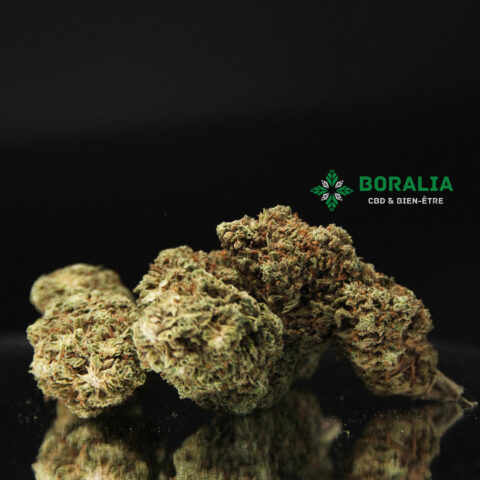 Malibu Exotic CBD