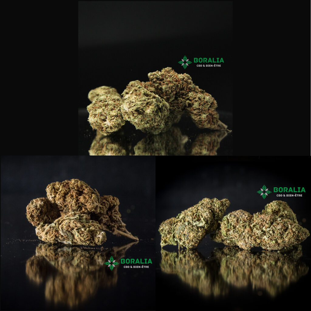 PACK DECOUVERTE FLEURS CBD BORALIA