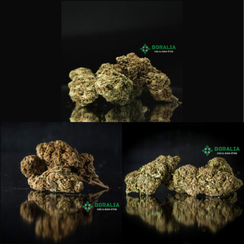 PACK DECOUVERTE FLEURS CBD BORALIA