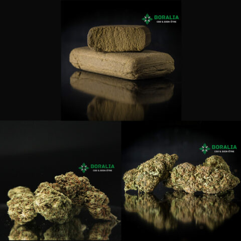 Pack Découverte Mix CBD Boralia