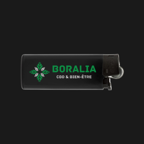 Briquet Boralia Bic