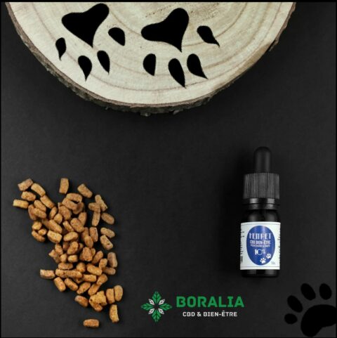 huile cbd animaux 10%