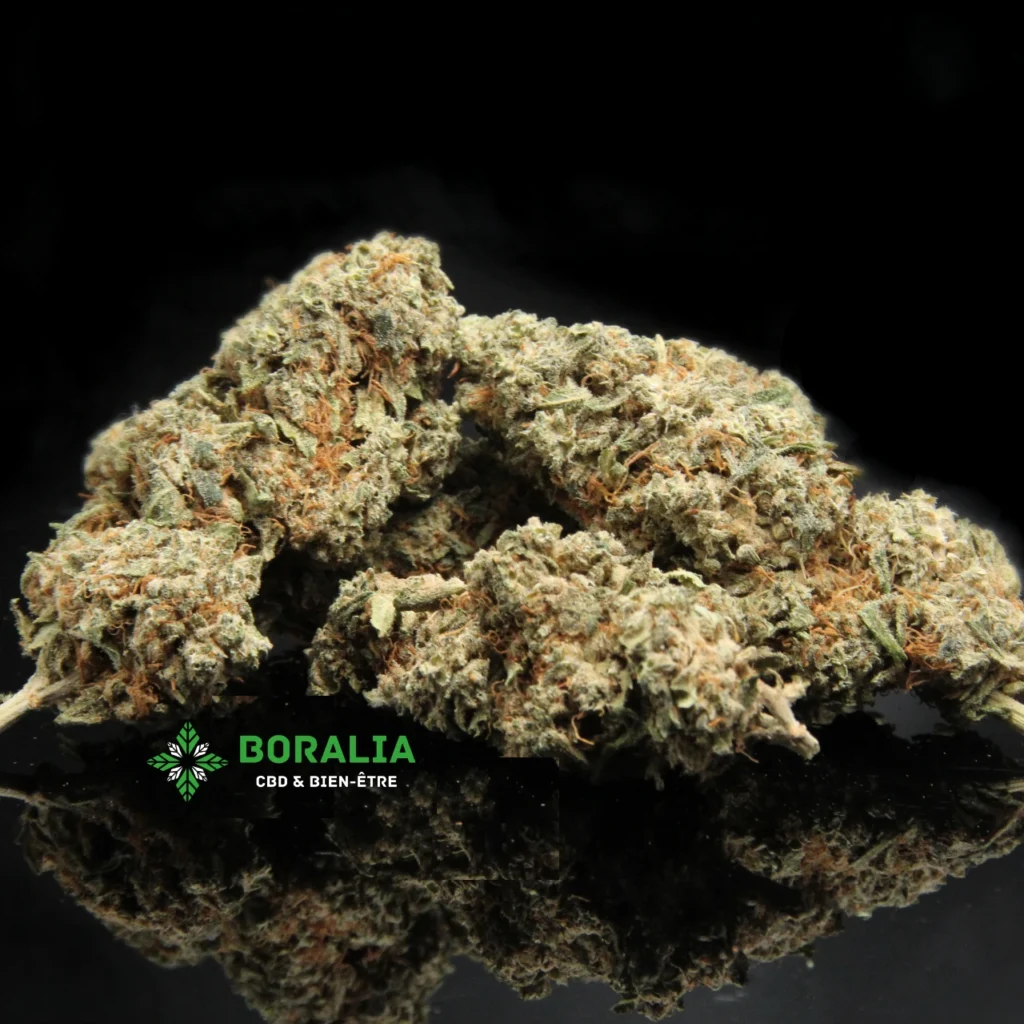 Blueberry